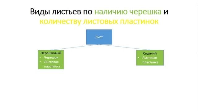 Урок №12.1 