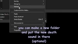 How to get the OOF SOUND back on Roblox (Pc Only)