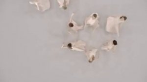 Waltz of Roses ~ Eugen Doga  ~ Gramofon