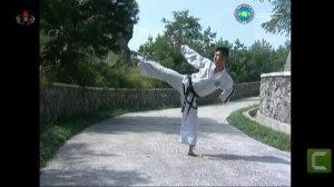 Таэквондо ITF. Йопча Джирюги.