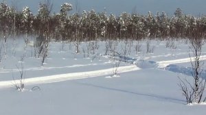 Ямаха Викинг 540 - 4 по глубокому снегу.