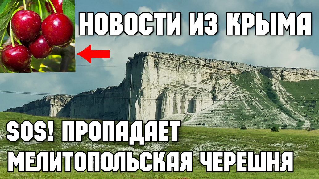Новости из Крыма.Мелитопольская черешня ПРОПАДАЕТ.8 этап ТАВРИДЫ.Заправки на трассе.Показываю правду