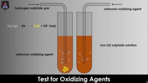 Test for Oxidizing and Reducing Agents | Chemistry Tutorial