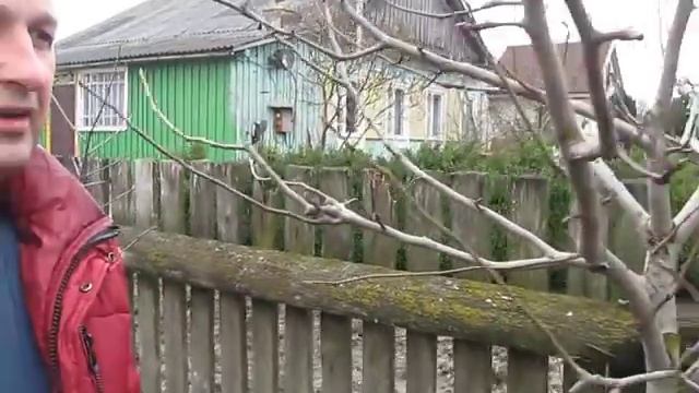Обрезка груши 4 5 летнего возраста, часть 2 смотреть онлайн
