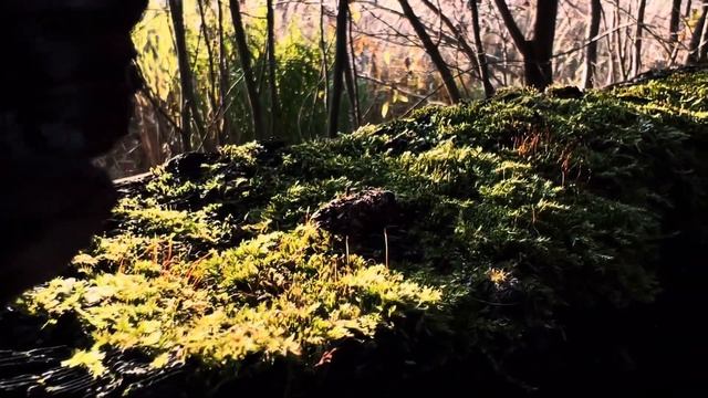 Дом смотреть онлайн