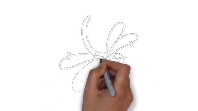 как нарисовать стрекозу,how to draw a dragonfly,cómo dibujar una libélula,libellule смотреть онлайн