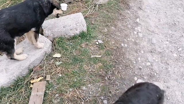 15.12.21 ниче не предвещало, НО... смотреть онлайн