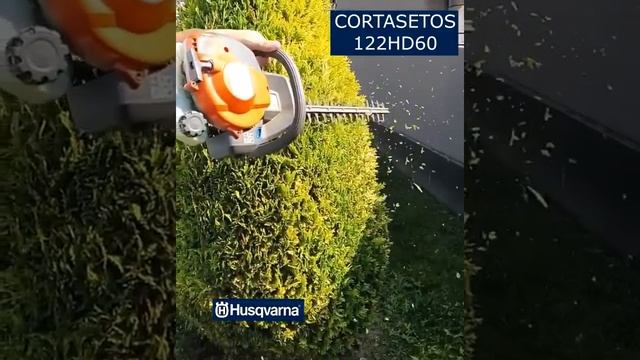 Cortasetos Husqvarna 122hd60 смотреть онлайн