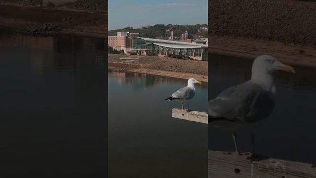 Красоты с высоты птичьего полета ❤️