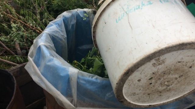 Лучшее удобрение для огорода!