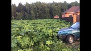 Участок у водохранилища д. Красновидово Можайский район