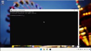 Приложение не запускалось правильно Windows 11 - Как исправить ошибку 0xc0000005