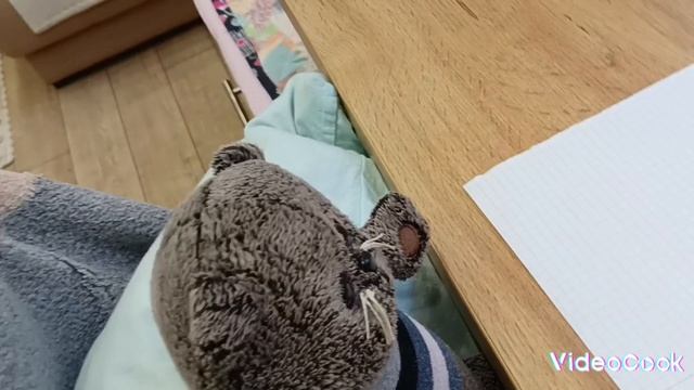 VideoCook_20231223_123017092.mp4