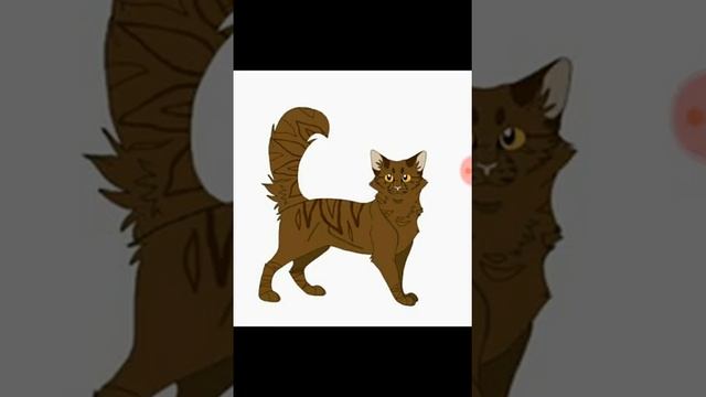 Кто ты из Котов воителей по имени