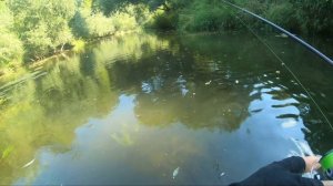 Ловля голавля в августе. Бродим по малой реке. Поймал не то на что рассчитывал!!!