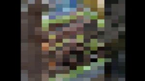 «Огород на подоконнике» - Мария 1 «А»