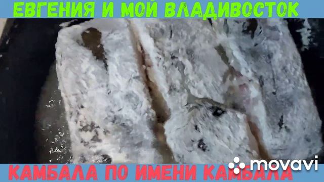 камбалп   по приморски