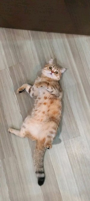 КВЙФУЕМ ОТ МУЗЫКИ