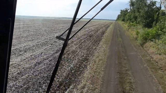 Состояние подсолнуха по Бердянскому району Запорожская обл . смотреть онлайн