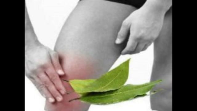 ЛАВРОВЫЙ ЛИСТ В НАРОДНОЙ МЕДИЦИНЕ. КАК ПОХУДЕТЬ БЫСТРО. смотреть онлайн