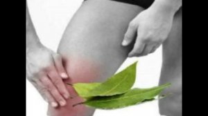 ЛАВРОВЫЙ ЛИСТ В НАРОДНОЙ МЕДИЦИНЕ. КАК ПОХУДЕТЬ БЫСТРО.