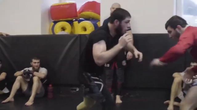 Нурулло Алиев vs мариф пираев схватка 🇹🇯🦅 смотреть онлайн