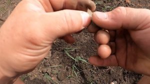 ВПЕРВЫЕ ТАКОЕ ВИЖУ / серебряная медаль РККА за олимпиаду по стрельбе в противогазах