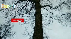 "Mahallada duv-duv gap" filmi suratga olingan joylarning hozirgi ko'rinishi