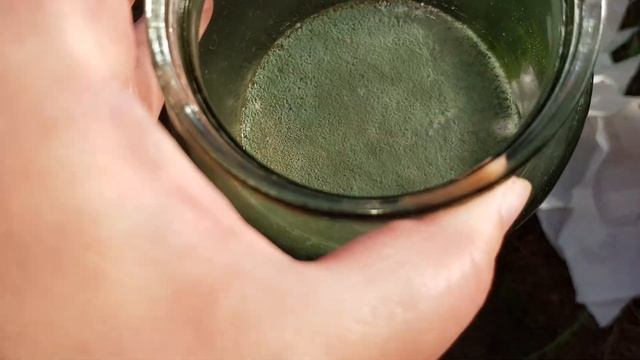 Триходерма - трах тибидох с первого раза.... новичкам везет. смотреть онлайн