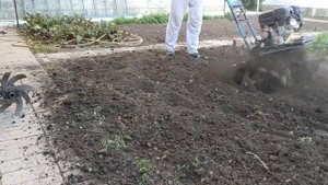 Как вскопать  гусиными лапками?