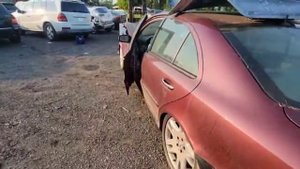 Разборка Mercedes - E W211 2002-2009, 5.0 (VIN: WDBUF70J43A337043)
