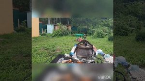 Бараньи яйца с овощами и гречкой в любимом афганском казане