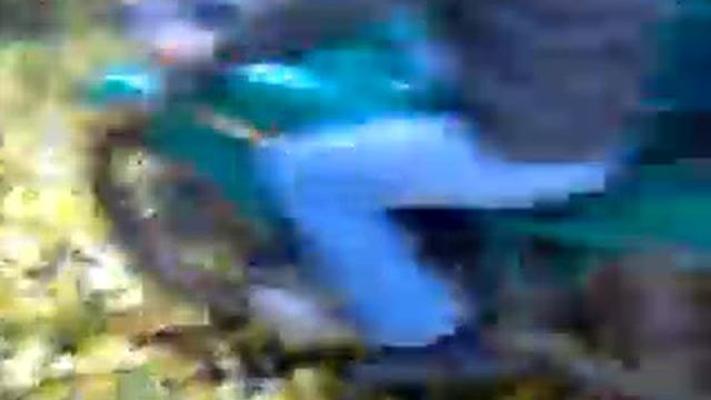 Урал перевернулся. смотреть онлайн