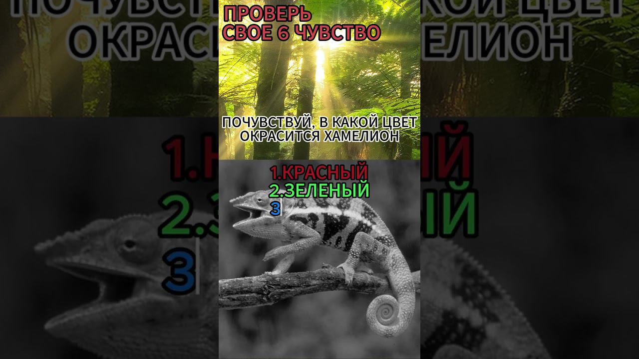 ИНТУИЦИЯ #психология #эзотерика #отношения #psychology #игры #тест #успех #любовь #чувства смотреть онлайн