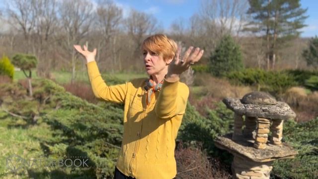 Резать плодовый сад или нет? Почему З.Хольцер не обрезает сад? Что такое неклассическая обрезка сад смотреть онлайн