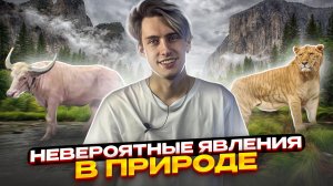 ЭТИ ЖИВОТНЫЕ ПОРАЗИЛИ ВЕСЬ МИР! САМЫЕ НЕВЕРОЯТНЫЕ ЯВЛЕНИЯ В ЖИВОТНОМ МИРЕ!