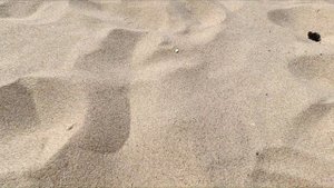 Поиск монет на пляже металлоискателем