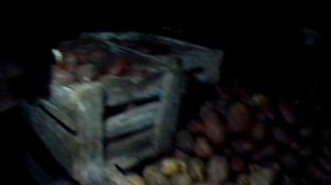Обзор хранения картофеля в сибири и ямы для хранения.