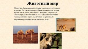Растительность и животные пустынь. Африка география 8 кл