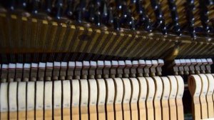 Регулировка механики пианино Ч6 демпферы педали бентики