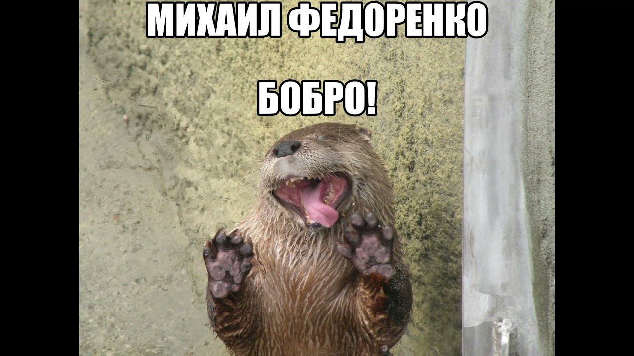 Михаил Федоренко - Бобро