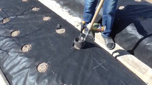 Приспособление для посадки клубники