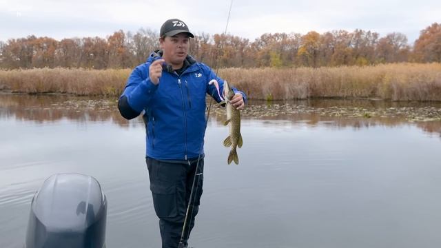 Daiwa BaitJunkie / Ловля на неогруженную резину / Алексей Шанин смотреть онлайн