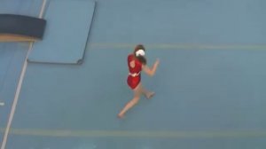 Спортивная гимнастика