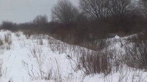 25.02.2021 Охота на русака с рпг Добычем.