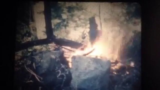 Оцифровка кинопленки с помощью планшета и монтажного столика " купава-16" смотреть онлайн