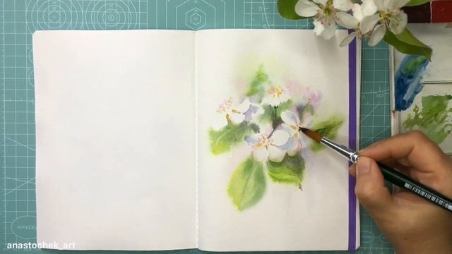 Рисование акварелью цветов груши. Бастрая зарисовка. Быстрый скетч смотреть онлайн