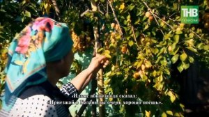 14 Хамдуна Тимергалиева: я родом из Бураева. Соотечественники 28/09/17 @ТНВ