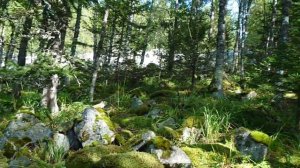 Гора Большой Кумардак, Малый Кумардак. Уральский Барс. Первый этап. День второй.