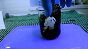 Серная кислота и кожа человека